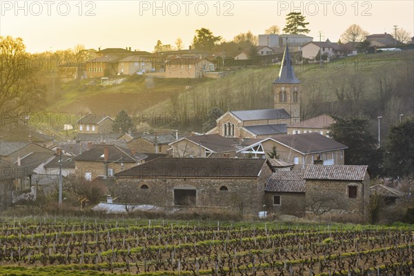 Village of Saint Julien, Beaujolais, France, Europe