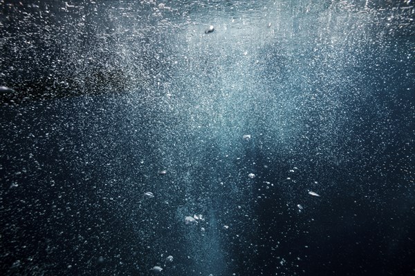 Rising air bubbles, island Vis, Mediterranean Sea, Croatia, Europe