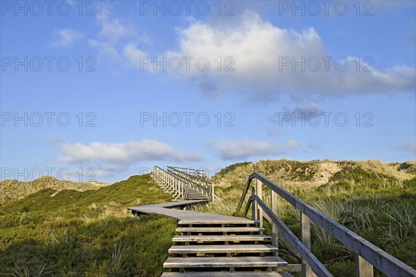 Boardwalk in the Amrum dunes nature reserve near Norddorf, Amrum, North Frisian Island, North