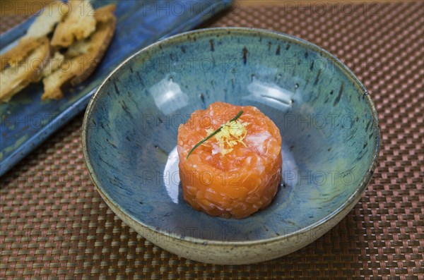 Salmon tartare deliciousness in a beautiful decorated plate