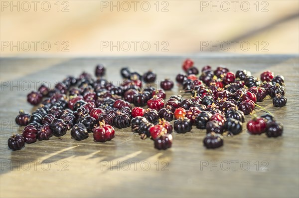 Pitanga, exotic Brazilian fruit. hand of child picking fruit. Brazilian cherry, Suriname cherry,