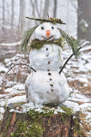 Snowman on a tree stump with a carrot for a nose, buttons, a branch for arms and pine needles for