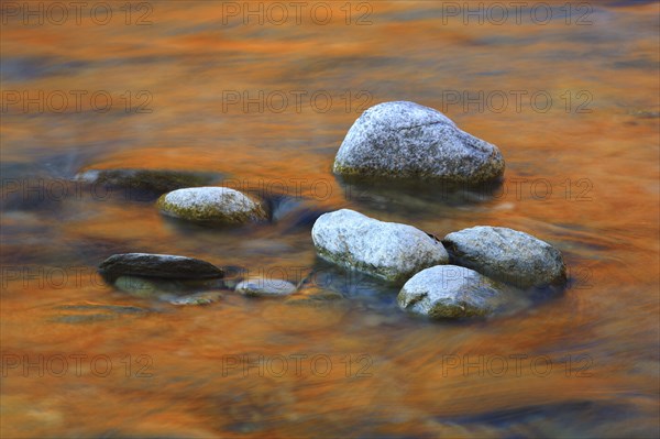River Lonza, Lötschental, Valais, Switzerland, Europe
