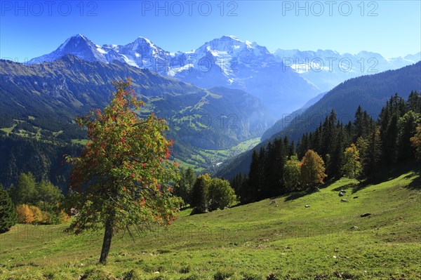 Lauterbrunnen Valley, Eiger, 3970 m, Mönch, 4107 m, and Jungfrau, 4158 m, view from Sulwald,