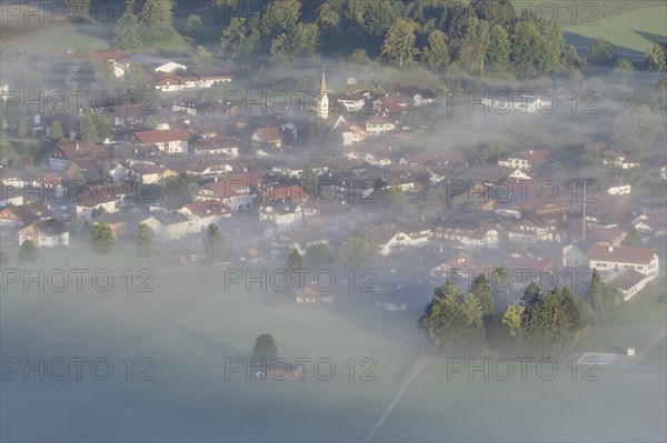 Schwangau, Königswinkel, Ostallgäu, Allgäu, Bavaria, Germany, Europe