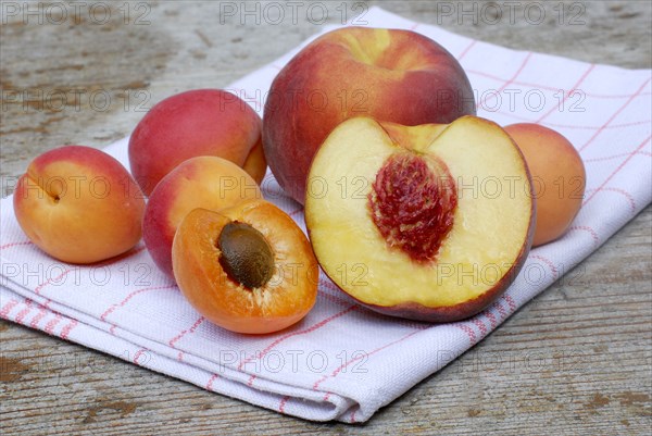 Peaches and Apricots ( Prunus armeniaca) ( Prunus persica)