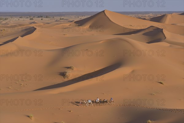 Tourists riding camels in the dunes, Sahara, Meknès-Tafilalet region, Morocco, Africa