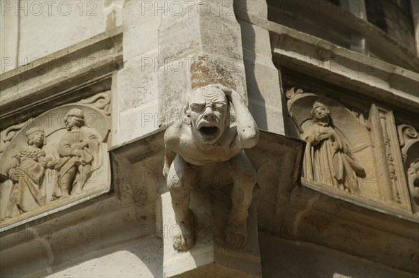Meissen Albrechtsburg, gargoyle on the Wendelstein