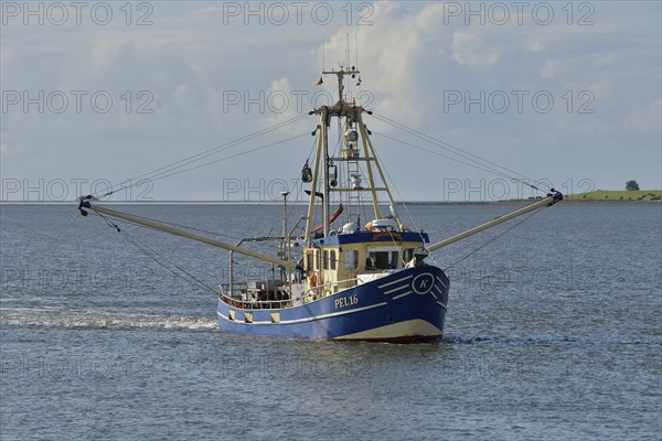 Fishing boat off Pellworm island, North Frisia, Schleswig-Holstein, Germany, Europe