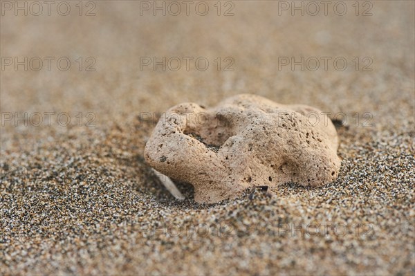 Rock lying on the beach covered with sand, "Platja del Fangar", coast, nature reserve, ebro delta,