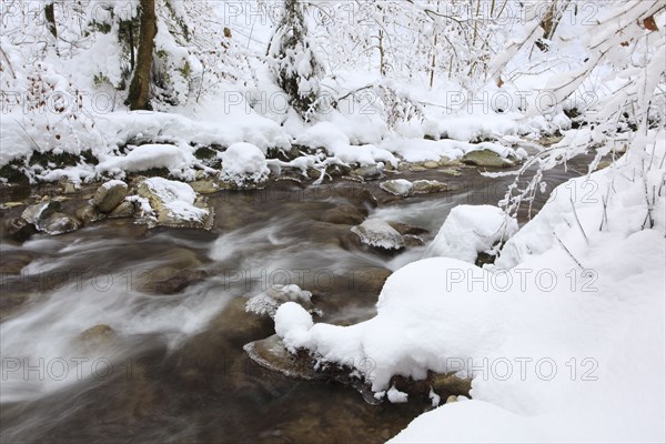 Aabach, Aa-Bach, Bergbach, forest brook, Kemptner Tobel, Zurich Oberland, Switzerland, Europe