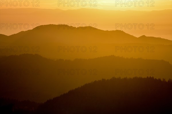 Sunset at Schliffkopf, near Baiersbronn, Freudenstadt district, Black Forest, Baden-Württemberg,