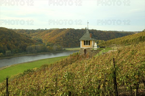 Winery near Meissen