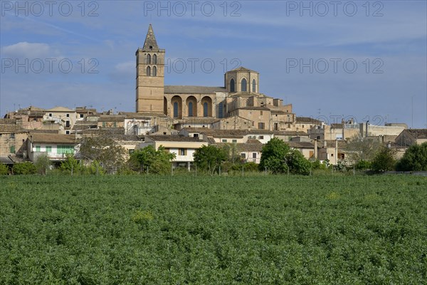 Parish church Nostra Senyora dels Angels, Sineu, Majorca, Balearic Islands, Spain, Europe