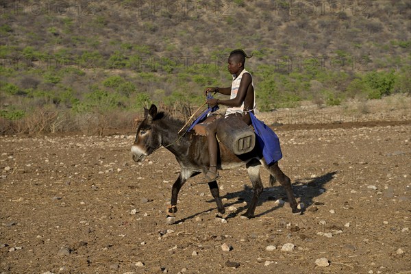 Young Himba shepherd riding on his donkey, Ombombo, Kaokoland, Kunene, Namibia, Africa