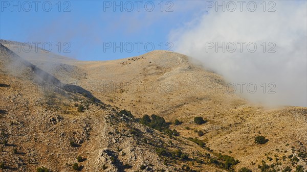Mountain top, bare, little vegetation, clouds, afternoon light, Madonie National Park, autumn, late