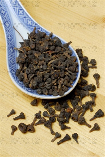Cinnamon blossoms (Cinnamomum cassiae) (Cinnamomum aromaticum) cinnamon, cinnamon cloves, cassia