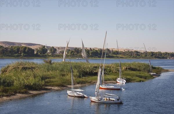 Feluccas, excursion boats on the Nile, Egypt, Africa
