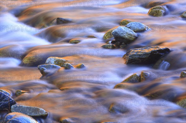 River Lonza, Lötschental, Valais, Switzerland, Europe