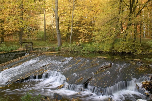 Seifersdorf valley