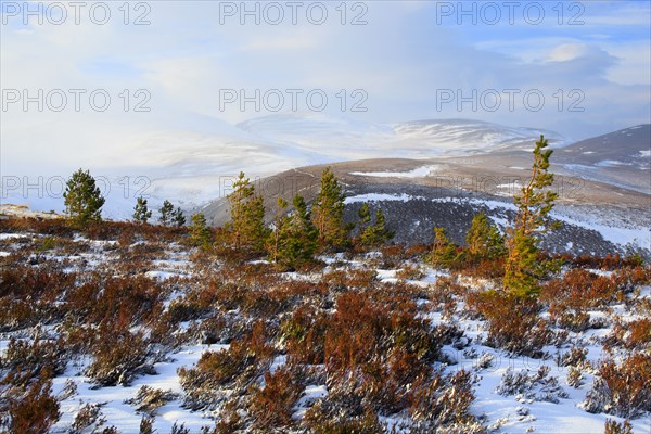 Cairngorms Mountains, Cairngorms National Park, Scotland, United Kingdom, Europe
