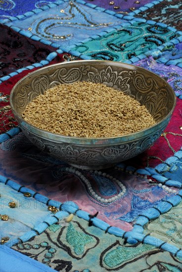 Ajwain-Seeds (Trachyspermum ammi) , Bishop's wort
