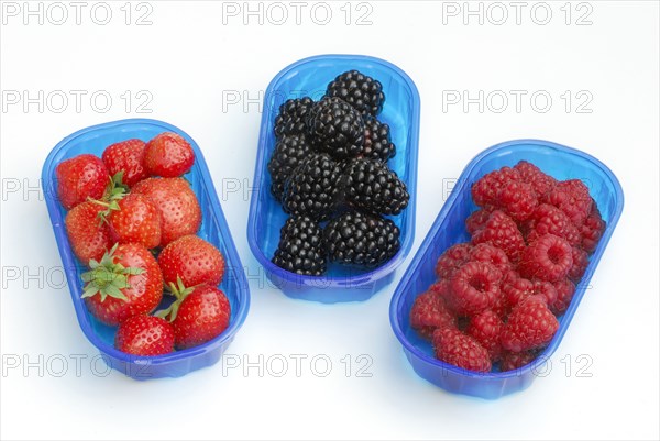 Raspberries (Rubus idaeus) Strawberries, Rubus fruticosus (Rubus fruticosus) in shells (Fragaria x