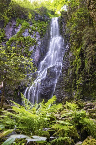 Burgbach waterfall in the sunlight, Black Forest, Bad Ripoldsau, Germany, Europe