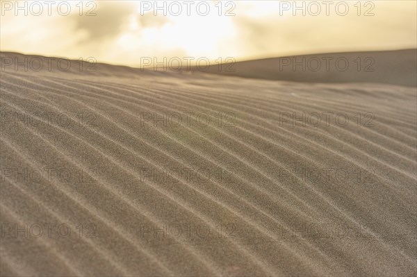 Beach "Platja del Fangar", sand dunes, Vegetation, nature reserve, ebro delta, Catalonia, Spain,