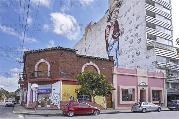 Giant wall painting on apartment's side and graffiti artwork in the city San Salvador de Jujuy,