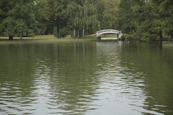 Pond with bridge in the municipal park of Höchst, Main, Frankfurt, Hesse, Germany, Europe