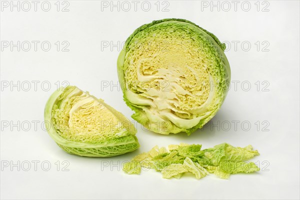 Brassica oleracea (Brassica oleracea var. sabauda), cabbage, Savoy cabbage