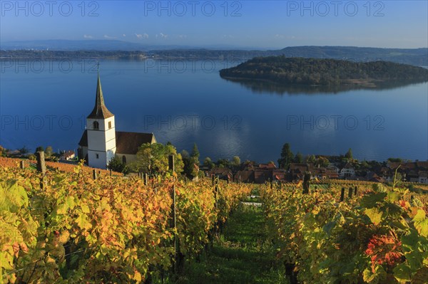 Ligerz on Lake Biel, Bern, Switzerland, Europe
