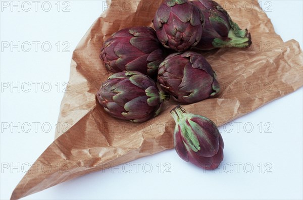 Globe Artichoke (Cynara scolymus)