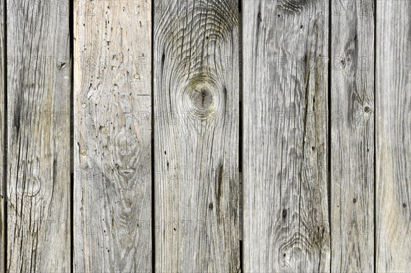 Vertical old wooden planks background