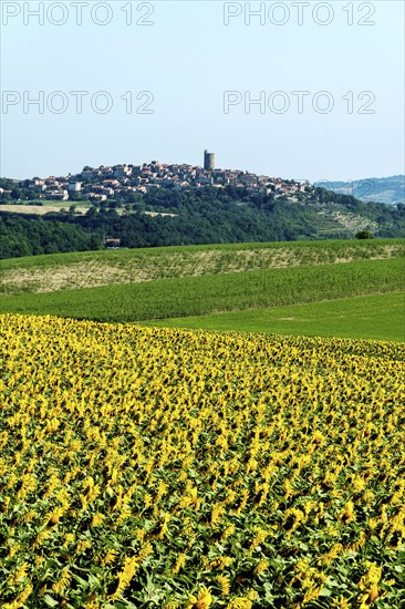 Village of Montpeyroux labelled Les Plus Beaux Villages de France, Puy de Dome,