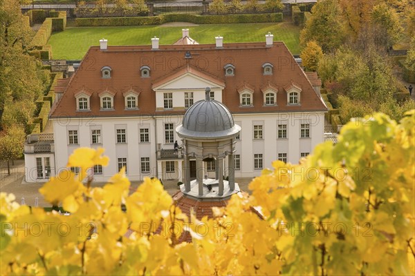 Schloss Wackerbarth or Wackerbarths Ruh' is a baroque castle surrounded by vineyards in the