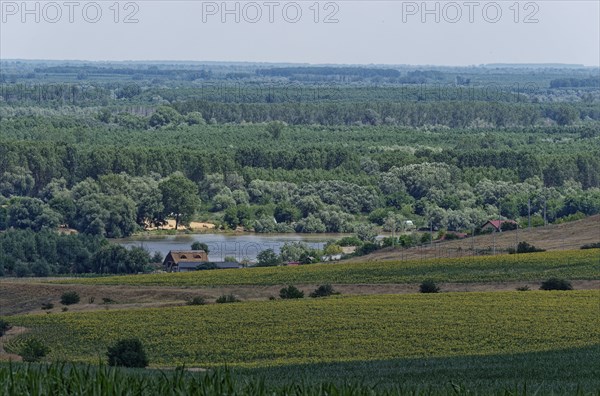 Landscape on the Saint George Branch, the southern arm of the Danube in the Danube Delta. Tulcea,
