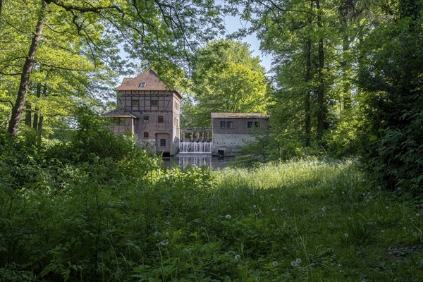 Brüningmühle, old water mill on the Vechte, Schöppingen, North Rhine-Westphalia, Germany, Europe