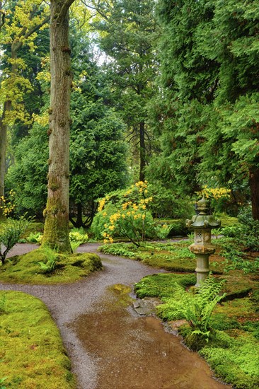 Path and stone lantern in Japanese garden, Park Clingendael, The Hague, Netherlands