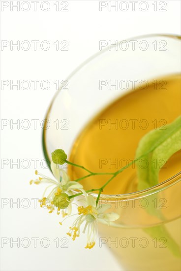 Glass of lime blossom tea, summer linden, large-leaved linden (Tilia platyphyllos) lime blossom tea
