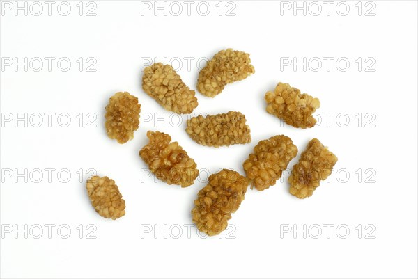 White mulberry (Morus alba) dried fruits, mulberry tree