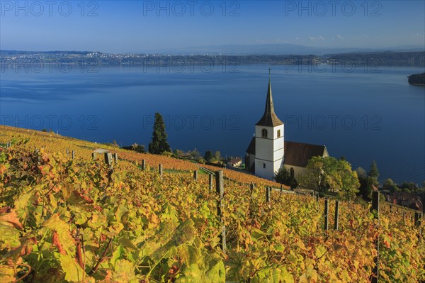 Ligerz on Lake Biel, Bern, Switzerland, Europe