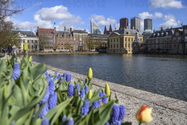 Museum Mauritshuis at the Hofvijver, Hofweiher, in the background the modern skyline, The Hague,
