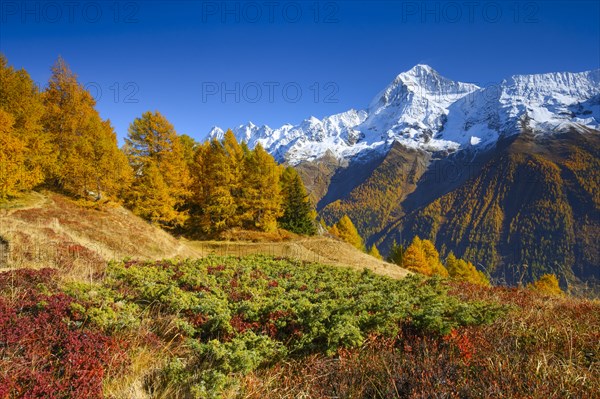 Bietschhorn, 3934m, Valais, Switzerland, Europe
