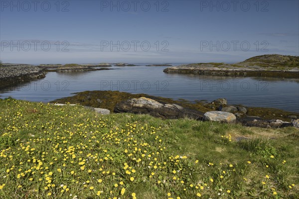 Archipelago in Norway