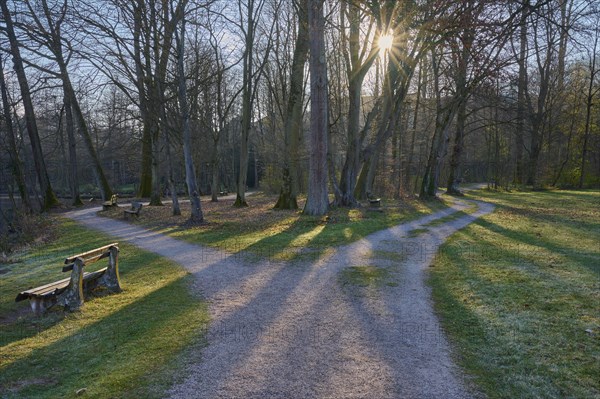 Public park with forked path and sun in spring, Amorbach, Odenwald, Bavaria, Germany, Europe