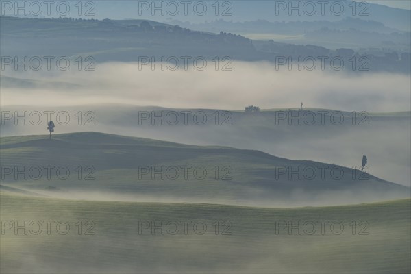 Landscape at sunrise around Volterra, province of Pisa, Tuscany, Italy, Europe