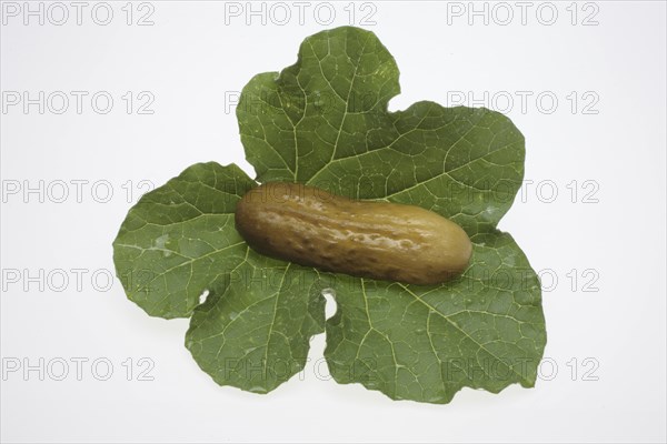 Sour cucumber, gherkin or pickled cucumber