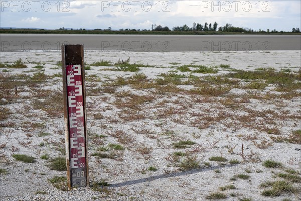 Measuring rod and heavily dried out Darscho or Warmsee, Lake Neusiedl-Seewinkel National Park,
